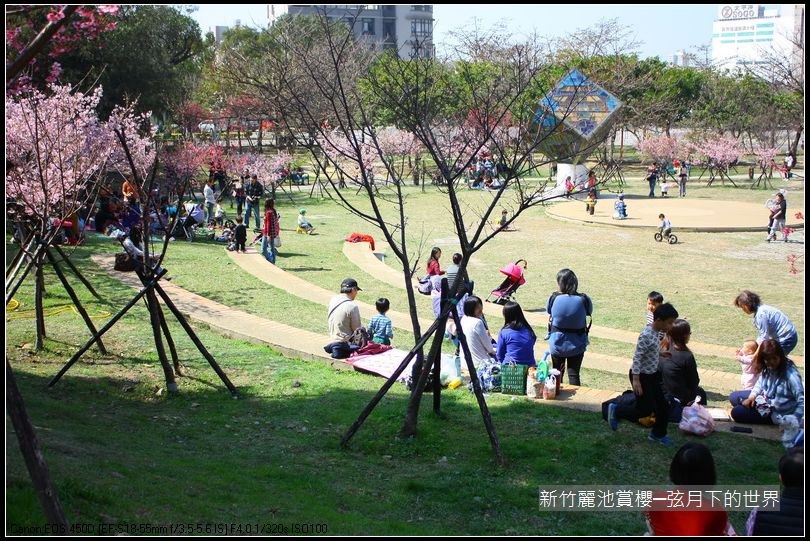 新竹~麗池公園賞櫻_45.JPG