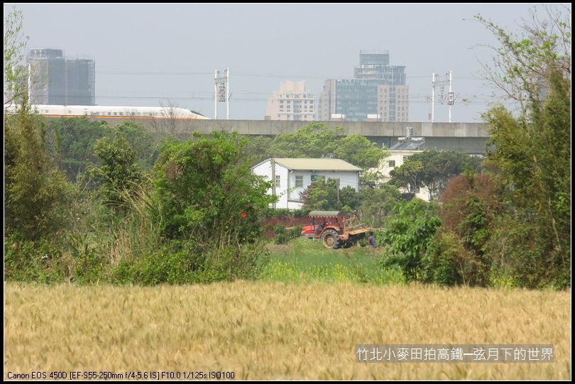 竹北小麥田拍高鐵_01