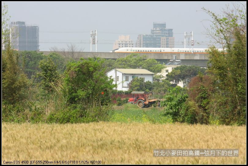 竹北小麥田拍高鐵_03