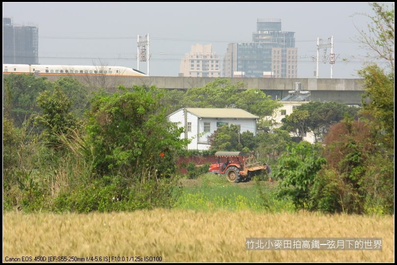 竹北小麥田拍高鐵_04