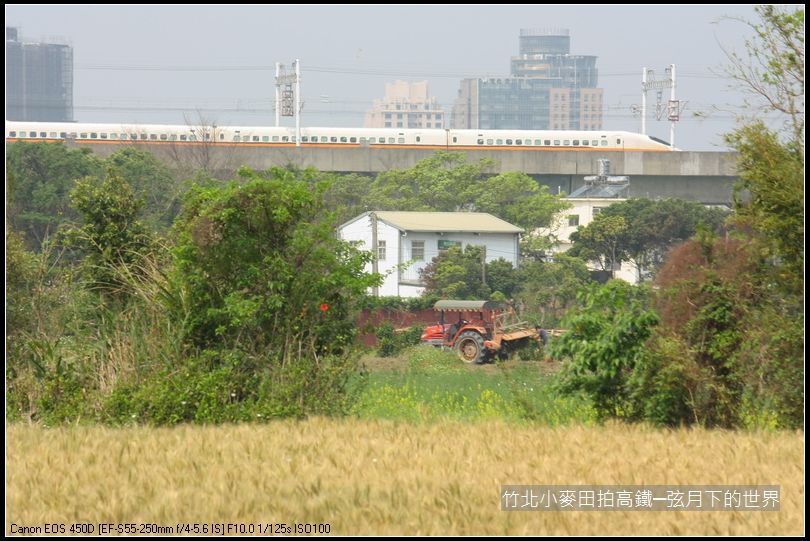 竹北小麥田拍高鐵_06