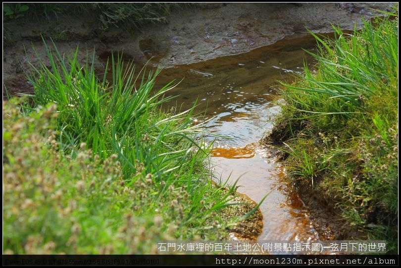 石門水庫裡的百年土地公(附指示圖)_05.JPG