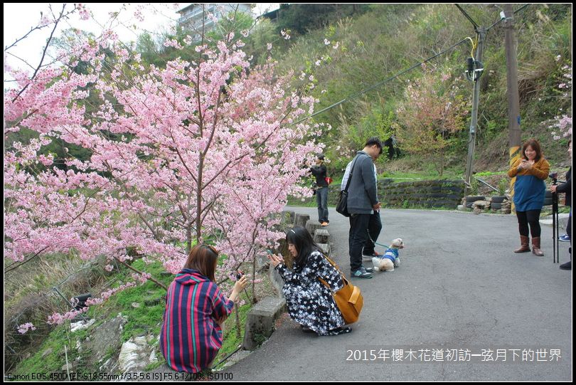 2015年櫻木花道初訪_01_33