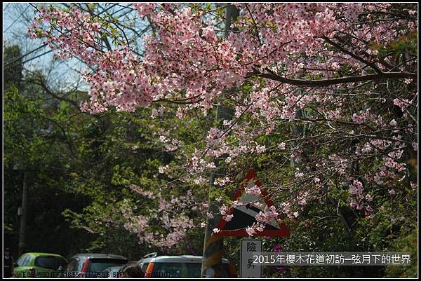 2015年櫻木花道初訪_02