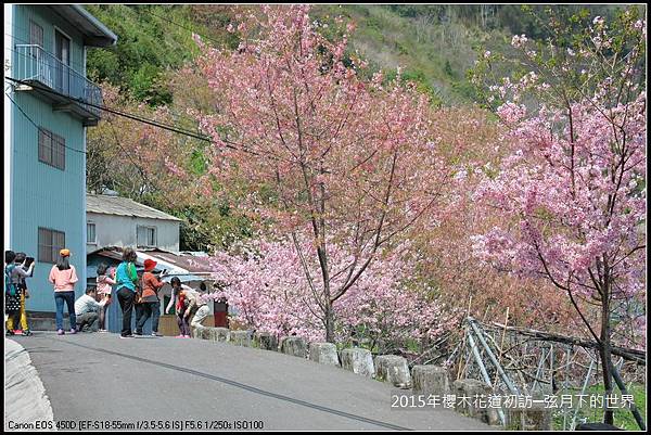 2015年櫻木花道初訪_04