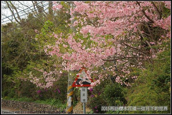 2015再訪櫻木花道_01