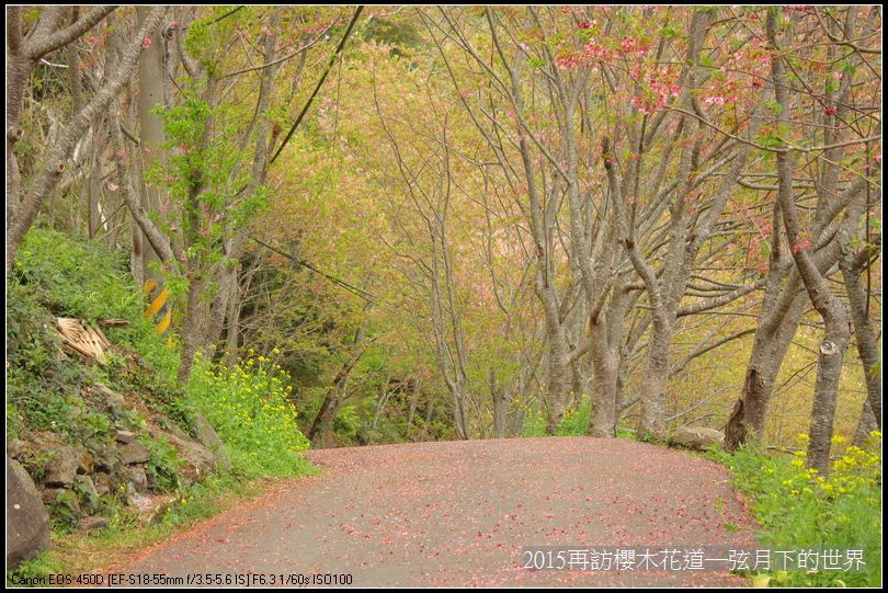 2015再訪櫻木花道_19