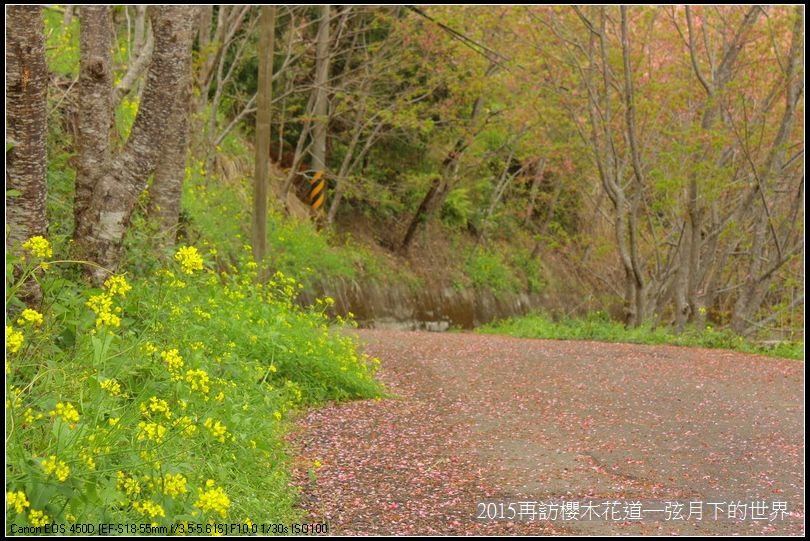 2015再訪櫻木花道_28