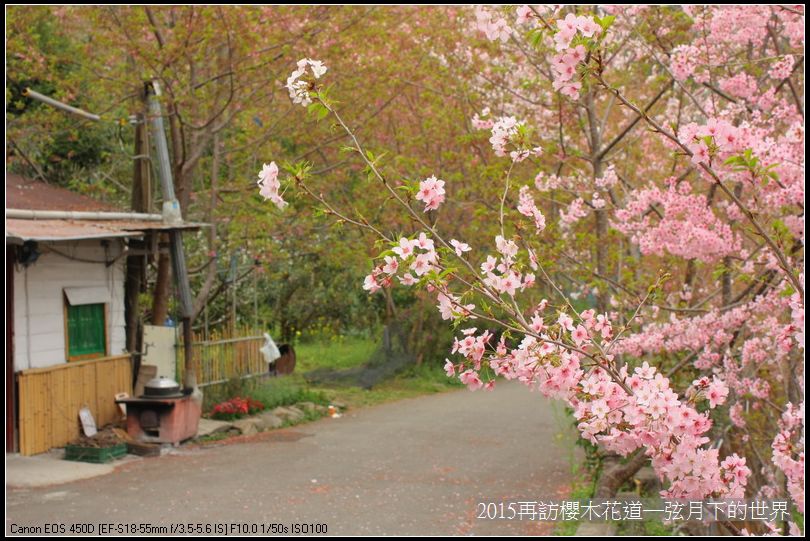 2015再訪櫻木花道_36