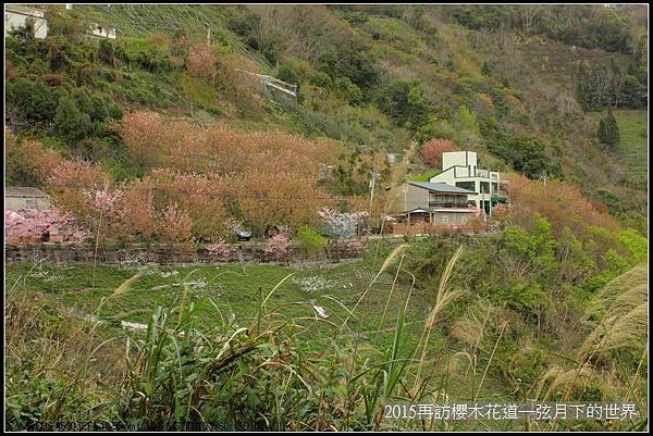 2015再訪櫻木花道_39