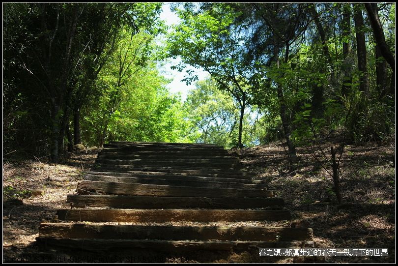 春天的鄭漢步道_01.jpg