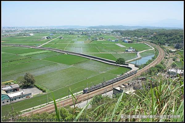 春天的鄭漢步道_12.jpg