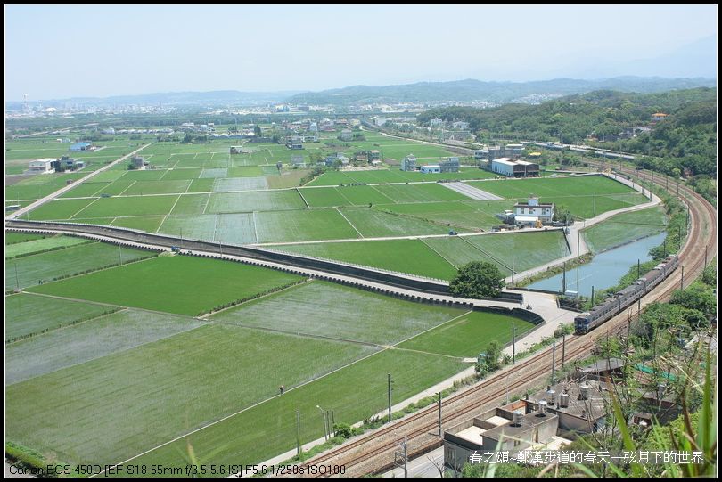 春天的鄭漢步道_13.jpg