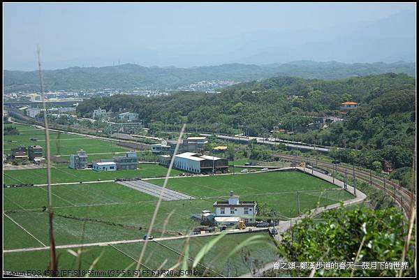 春天的鄭漢步道_17.jpg