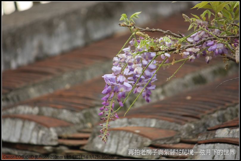 再拍老房子與紫藤花的秘境_08.jpg