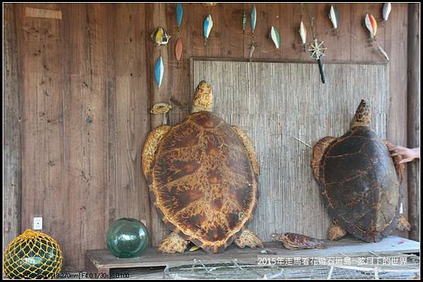 2015年重返石垣島_25