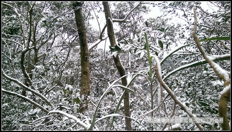 2016佛陀世界初雪_08.jpg