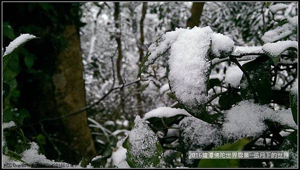 2016佛陀世界初雪_09.jpg