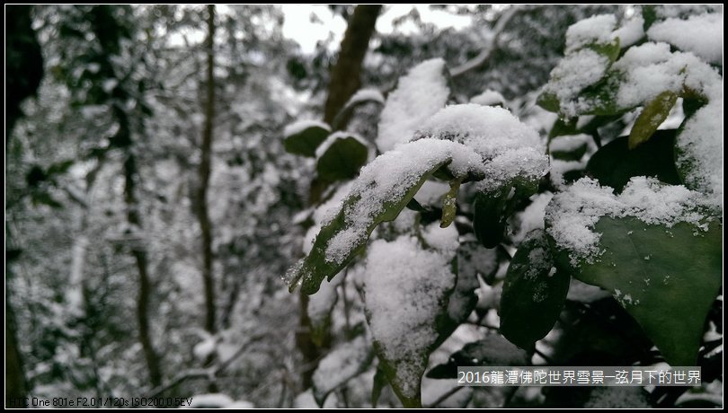 2016佛陀世界初雪_10.jpg