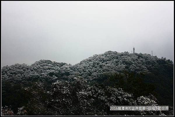 2016佛陀世界初雪_27.jpg