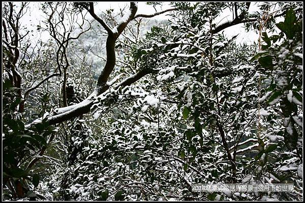 2016佛陀世界初雪_28.jpg