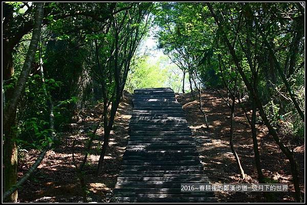 2016春耕後的鄭漢步道_03