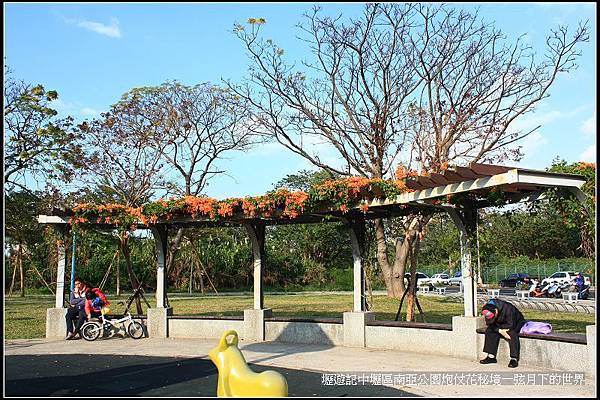 壢遊記~中壢區南亞公園炮仗花秘境_18.jpg