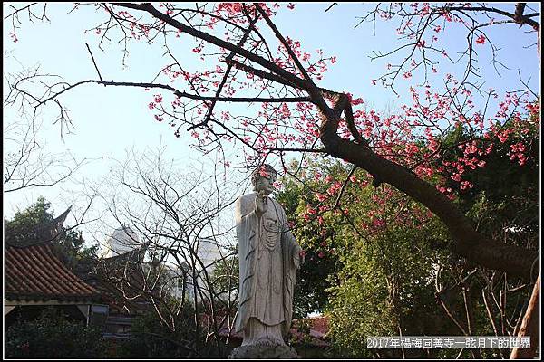 2017年楊梅回善寺隨拍_09