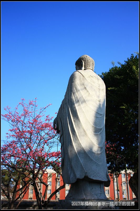 2017年楊梅回善寺隨拍_12