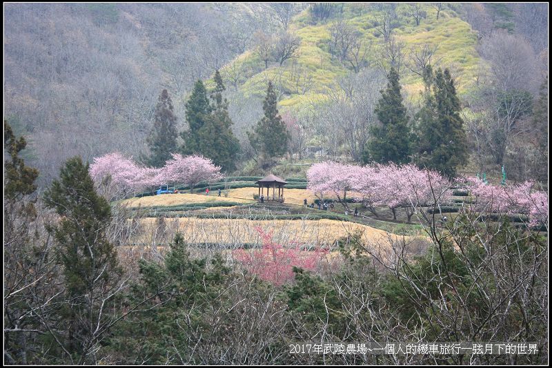 武陵農場~一個人的機車旅行(2)_40