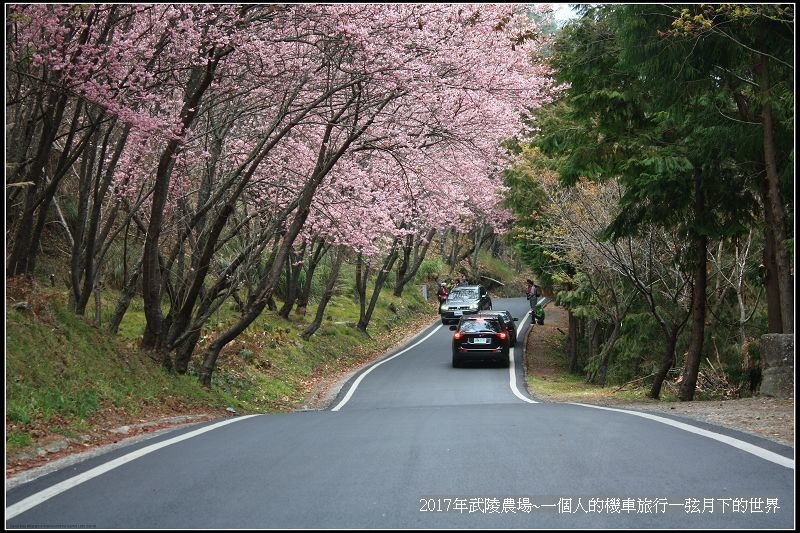 武陵農場~一個人的機車旅行(2)_45