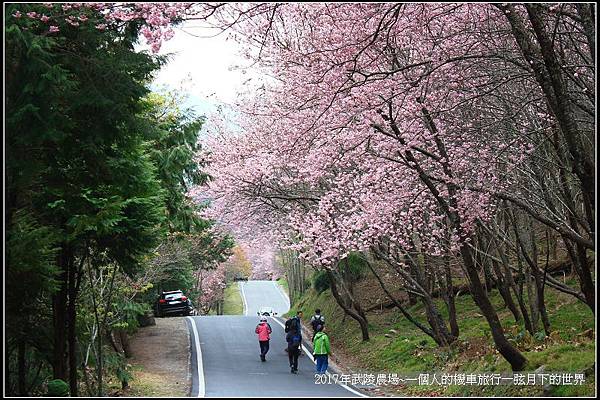 武陵農場~一個人的機車旅行(2)_48