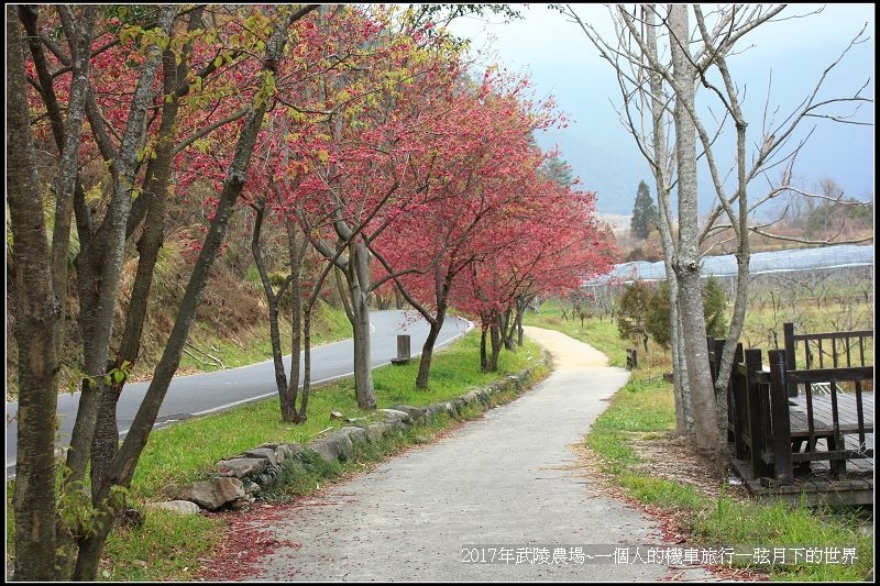 武陵農場~一個人的機車旅行(2)_50