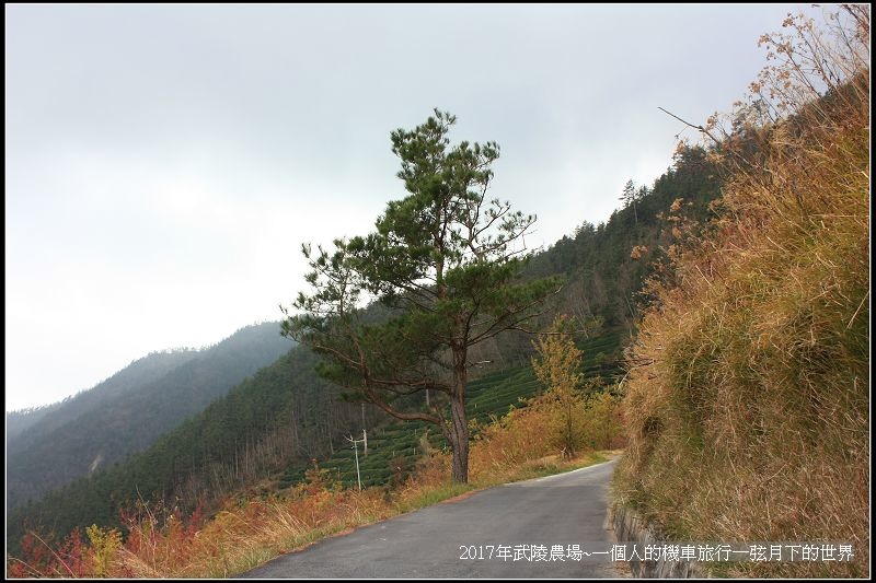 武陵農場~一個人的機車旅行(2)_51