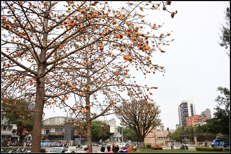 新竹~木棉花、東門城、麗池快閃遊31