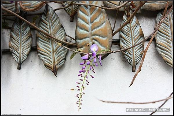 新埔~紫藤居賞紫藤花  (2).jpg