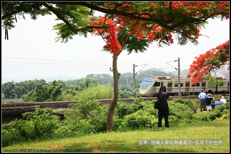 2017年苗栗~造橋拍火車與鳳凰花 (48)