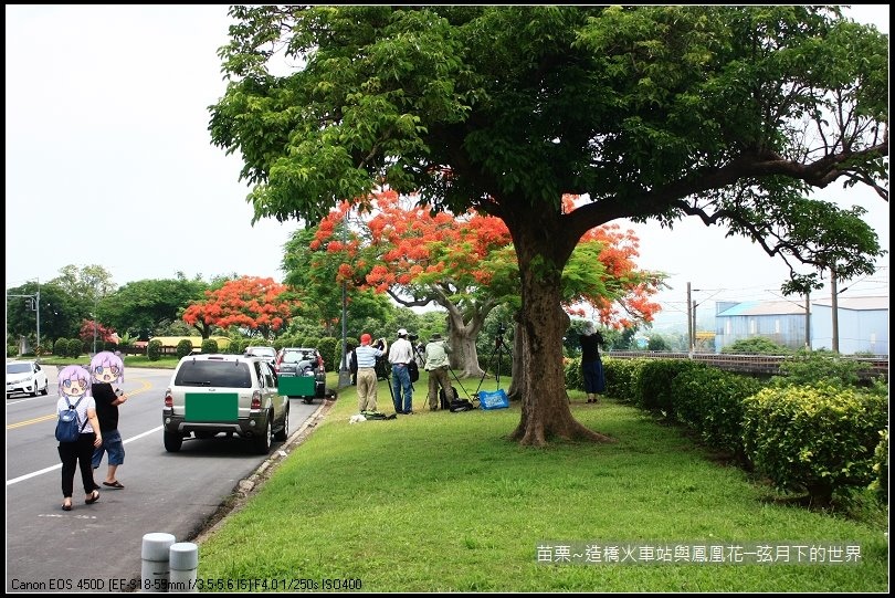 2017年苗栗~造橋拍火車與鳳凰花 (50)