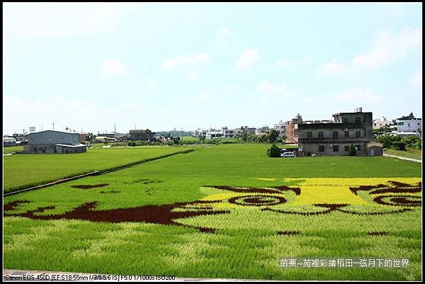 苗栗縣~苑裡彩繪稻田快閃遊 (8)