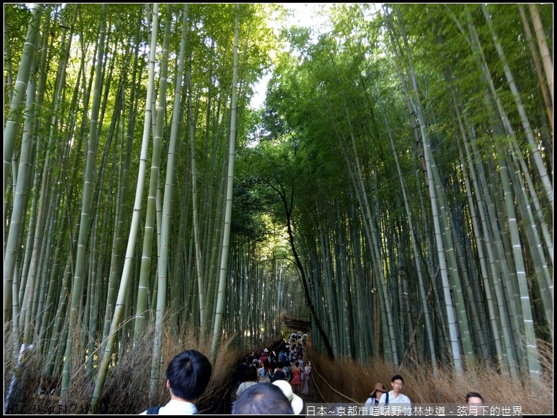 日本-京都市嵯峨野竹林步道.jpg