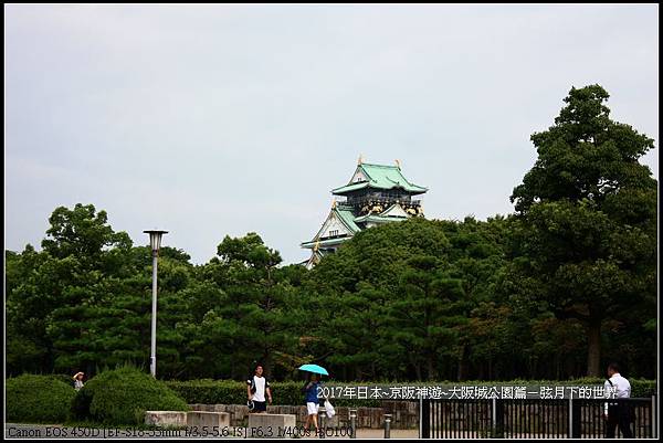 2017年日本京阪神遊-大阪公園篇   (11)