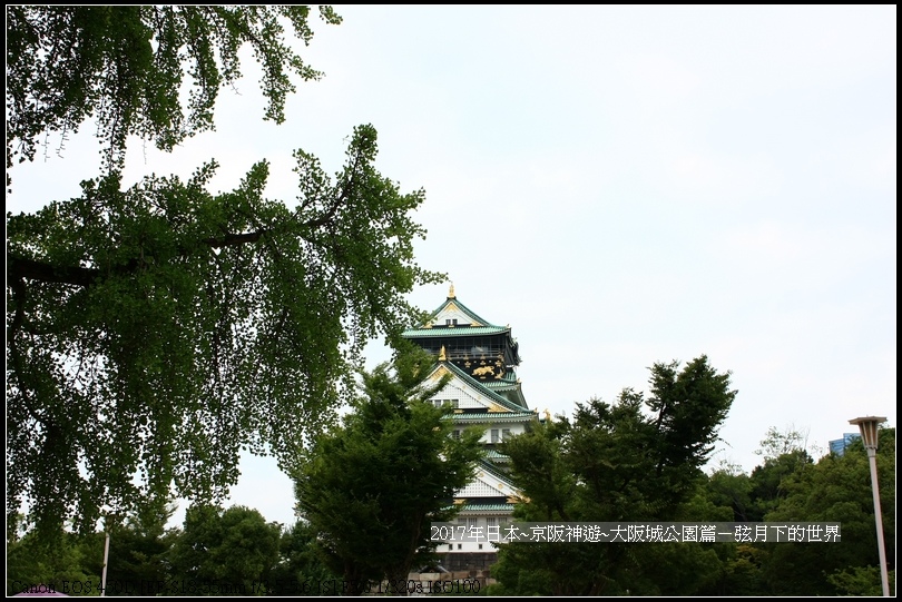 2017年日本京阪神遊-大阪公園篇   (22)