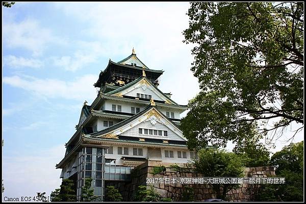 2017年日本京阪神遊-大阪公園篇   (38)