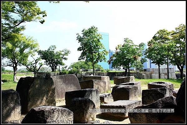 2017年日本京阪神遊-大阪公園篇   (43)