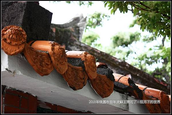 2018年桃園市百年流蘇王 (15)