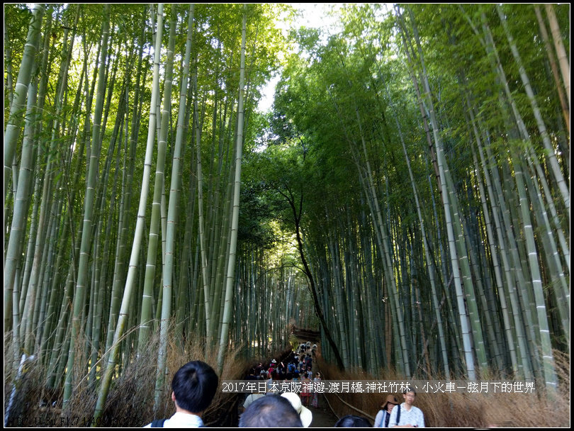 2017年日本京阪神遊-嵐山之旅 (34).jpg