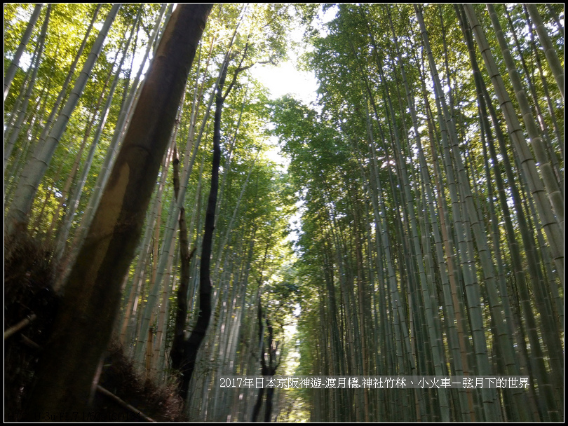 2017年日本京阪神遊-嵐山之旅 (37).jpg