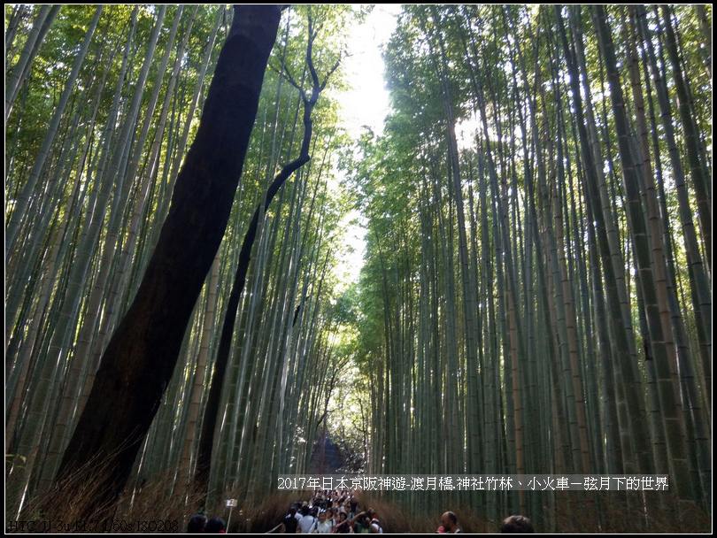 2017年日本京阪神遊-嵐山之旅 (39).jpg