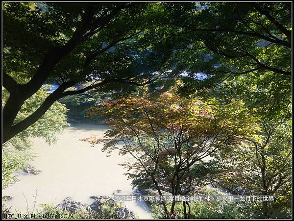 2017年日本京阪神遊-嵐山之旅 (49).jpg