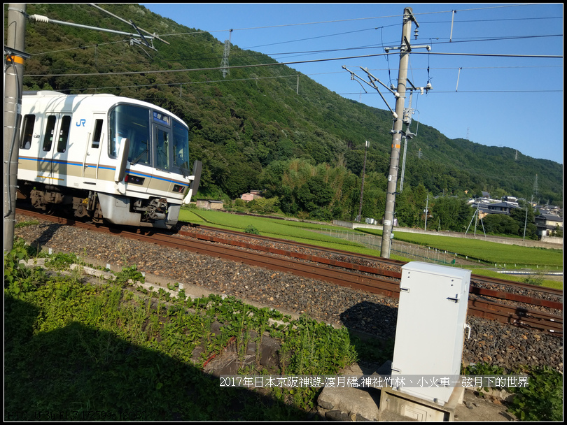 2017年日本京阪神遊-嵐山之旅 (52).jpg